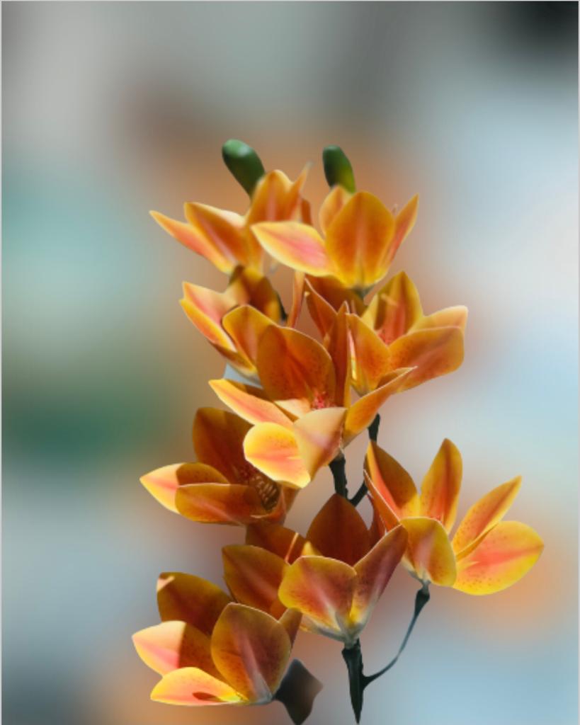 Kathali Chapa (yellow)