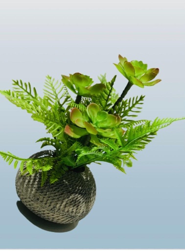 [Loc-ova-05406] Chaina Cactus With Tobs